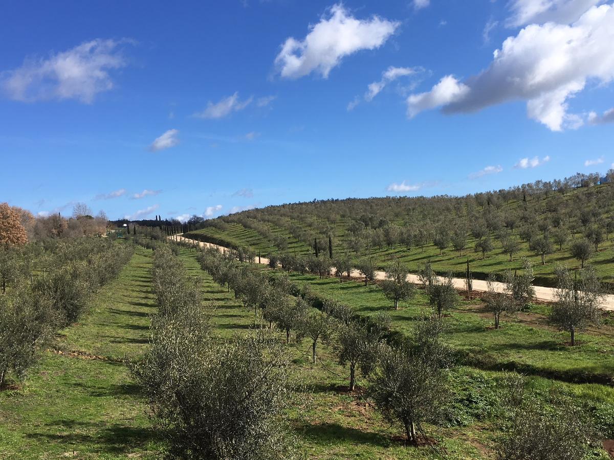Il Podere Di Marfisa Farnese Eksteriør bilde